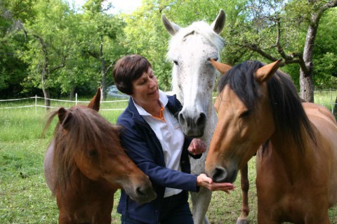 Tierarzt Treiber Pferde